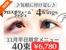 【平日限定☆気軽に付け足し】◎クロスボリュームor4wings 40束(160本)