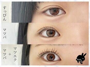 バニーラッシュ(Bunny Lash)/【リフエク】