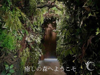 森の雨やどり けやき通り店の写真