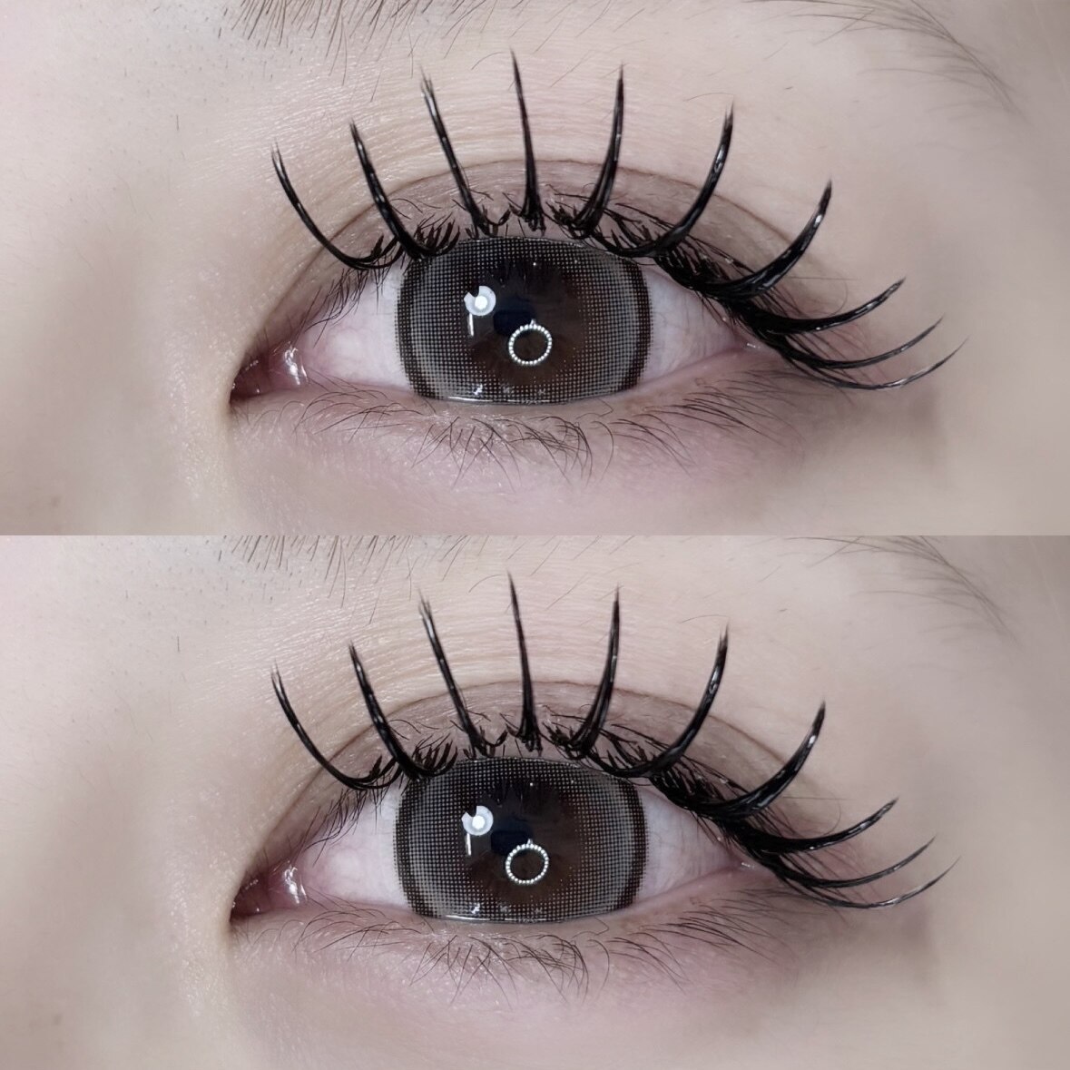 再来【持続力◎】バインドロック/ダブルフラット120束\9,350→7,000