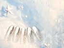 7月12種類から選べるデザイン