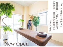 タツヤ目黒整体院(TATSUYA目黒整体院)の雰囲気（【完全個室★】　落ち着きと清潔感がある整体院はここだけ！）