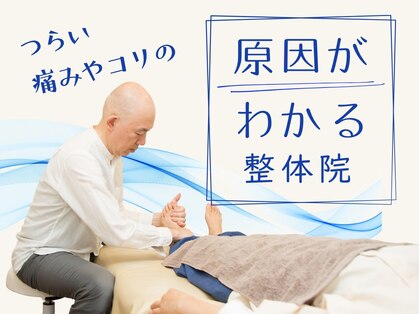 オルタナの写真