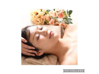 美活くらぶの写真