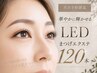 【当日予約限定】大人の華やかまつげエクステ120本