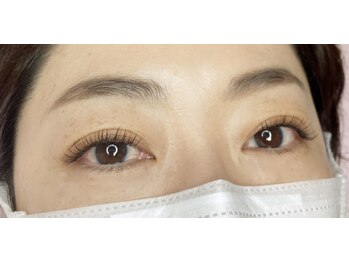 カメリア(Camellia)/フラットラッシュ100本