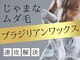 アンジェリーナの写真