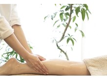 スロース(Sloth)/