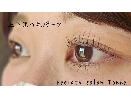 トニー(Tonny)の写真