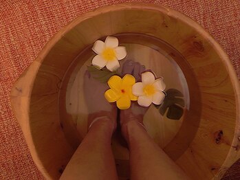 キャットナップ(Catnap)/