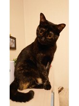 ロトスレイメイ&nbsp;店長 奥永