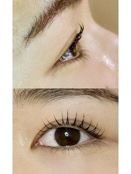 カメリア(camellia)/Cカールの可愛いラッシュリフト