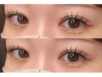 ブリコ(Brico)/flatlash 120本 / Natsumi
