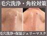 角栓/黒ずみ/皮脂汚れ撃退&白玉肌！毛穴洗浄+ジェルパック¥17600→¥7700