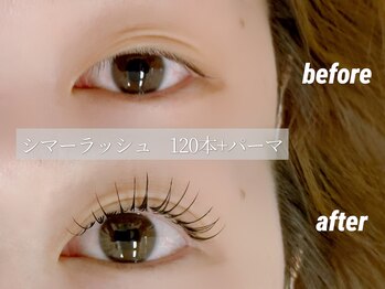 カメリア バイ リラ(Camelia by Lilas)/シマーラッシュ120本