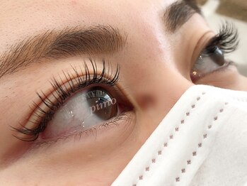 ピモ(Pimo)/フラットラッシュ160本