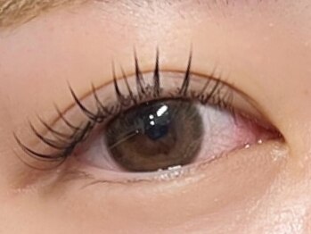 アイビーアイラッシュ(IVY EYELASH)の写真/1人1人の目の形や骨格・まつげに合わせた"似合わせエクステ"が大得意★まつげでお悩みの方の駆け込み寺◎