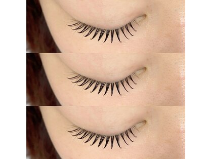 ラッシュベイビー(LASH Baby)の写真