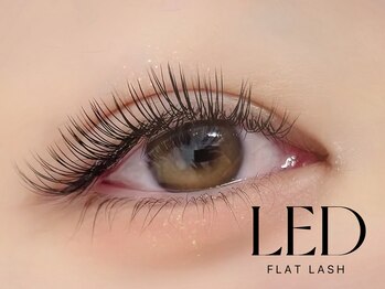 ノエラッシュ(noe lash)/LEDフラットラッシュ