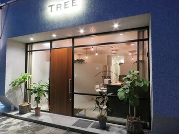ビューティー トリートメント サロンツリー(Beauty treatment salon TREE)/TREE外観/夜の雰囲気