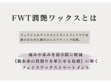 ユンプラス(yun+)/【FWT潤艶ワックスとは】