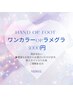 【新人ネイリスト担当】ワンカラー・ラメグラ　3000円