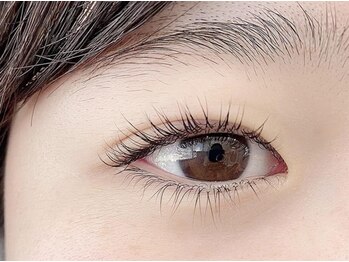 ティーラッシュ(T lash)/下まつげ (20本ずつ) [マツエク]