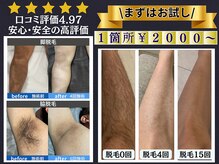 アテ 古波蔵店(ATE)