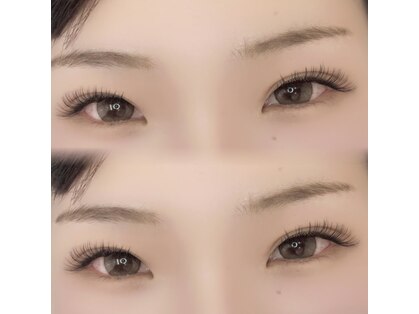 アスター(Aster)の写真