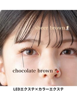 アイディアル(eyedeal)/人気のブラウンカラーエクステ