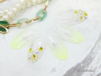 【802】定額7,139円押し花