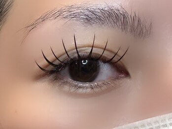 フリー#240(Free#240)/フラットラッシュ140本