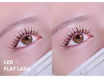 イース(ease)の写真/モチ/時短/水濡れOK◎人気急上昇“LEDエクステ“