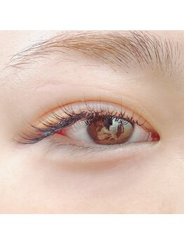 アイラッシュ ラビット(Eyelash Rabbit)/＊セーブルエクステ＊