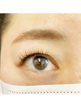 ドーヴ(DOVE)/グレージュ×オリーブブラウン