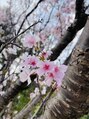 トリンテ バイ フェース(TRINTE by FAITH) 香りアイテムを作るのが好きです♪ ほっとできる時間を大切に♪