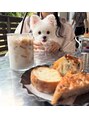 エーアンドエー 蕨店(A&A)&nbsp;犬カフェ♪