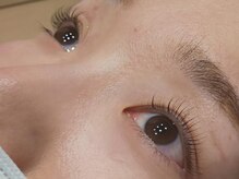 ラシェスキタモト (luscius kitamoto)/まつげパーマ