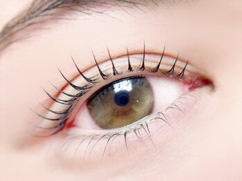 オメカシ アイラッシュアンドアイブロウ(Omekashi eyelash&eyebrow)の写真/落ち着いた空間で最高品質の商材を使いまつげをケアしながらお目元を美しくします！忙しい大人女性を応援☆
