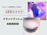 フラットラッシュ無制限【本数無制限!満足度◎】LED◇カラー&他店オフ無料