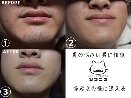 ソフニスの写真