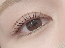 アイビーアイラッシュ(IVY EYELASH)