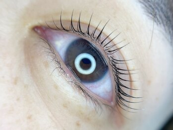 シャルエ アイサロン(Charer)/