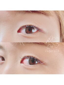 パーフェクトウィンク 新所沢店(PerfectWink)/カラーマツエク120本