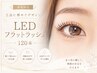 【新規限定】《上品に華やぐデザイン》LEDフラットラッシュ120本￥5980