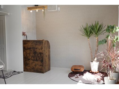 ベラ(VELLA)の写真