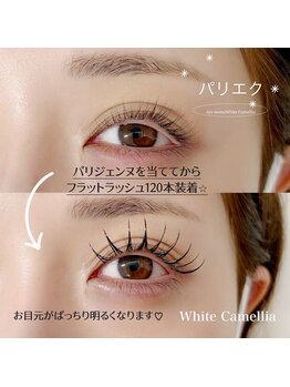 ホワイトカメリア 難波心斎橋店(WhiteCamellia)/パリエク/マツエクサロン