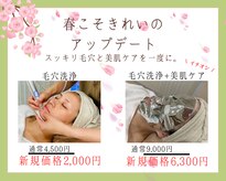 アメリテ(Amelite)