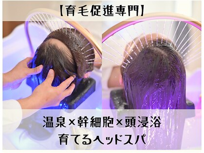美箱 赤坂店の写真