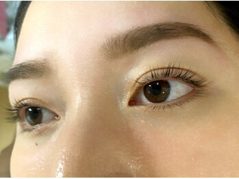 ベリスラッシュ(Bellis Lash)/ラッシュリフト